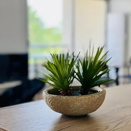 Un Nid Dans Les Pins Daire