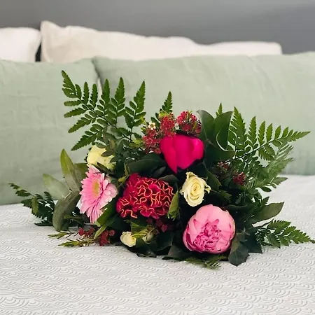 Apartman Un Nid Dans Les Pins La Baule