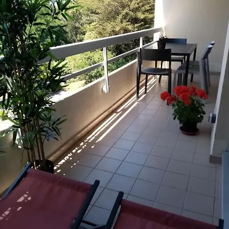 Un Nid Dans Les Pins La Baule