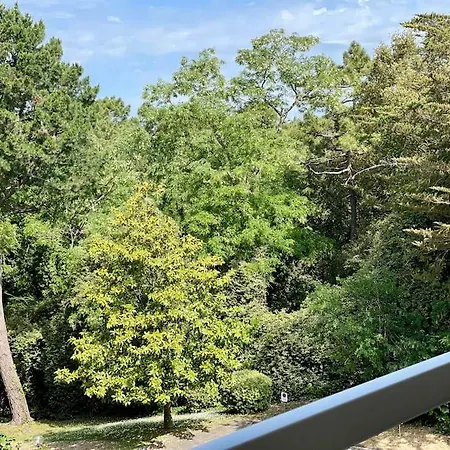 Apartman Un Nid Dans Les Pins