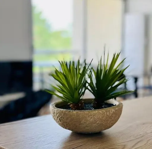 Un Nid Dans Les Pins Apartment