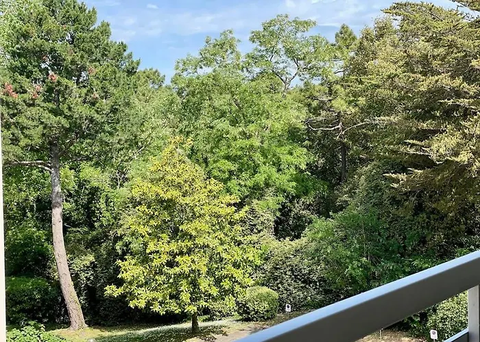 Apartment Un Nid Dans Les Pins